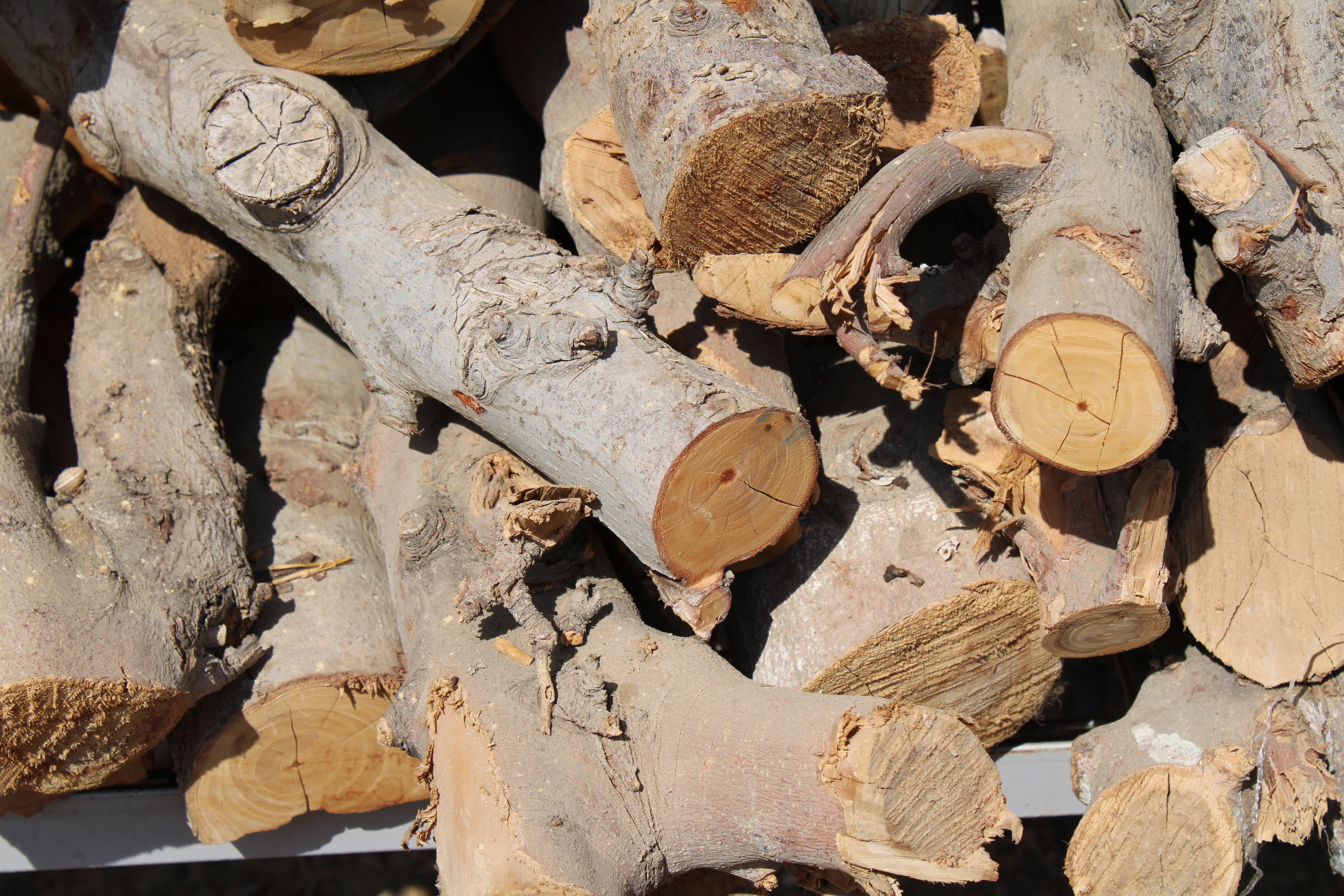 Premium Logs