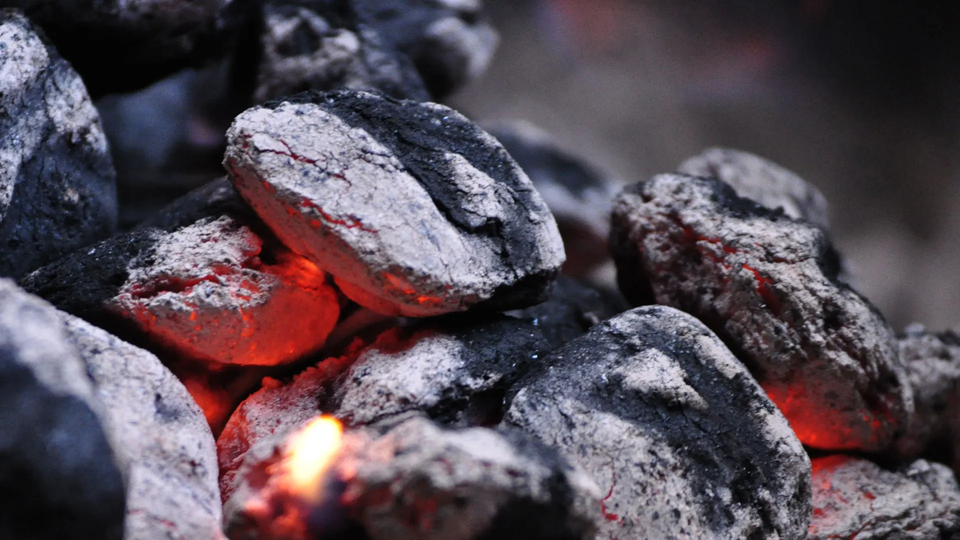 Charcoal & Fuels